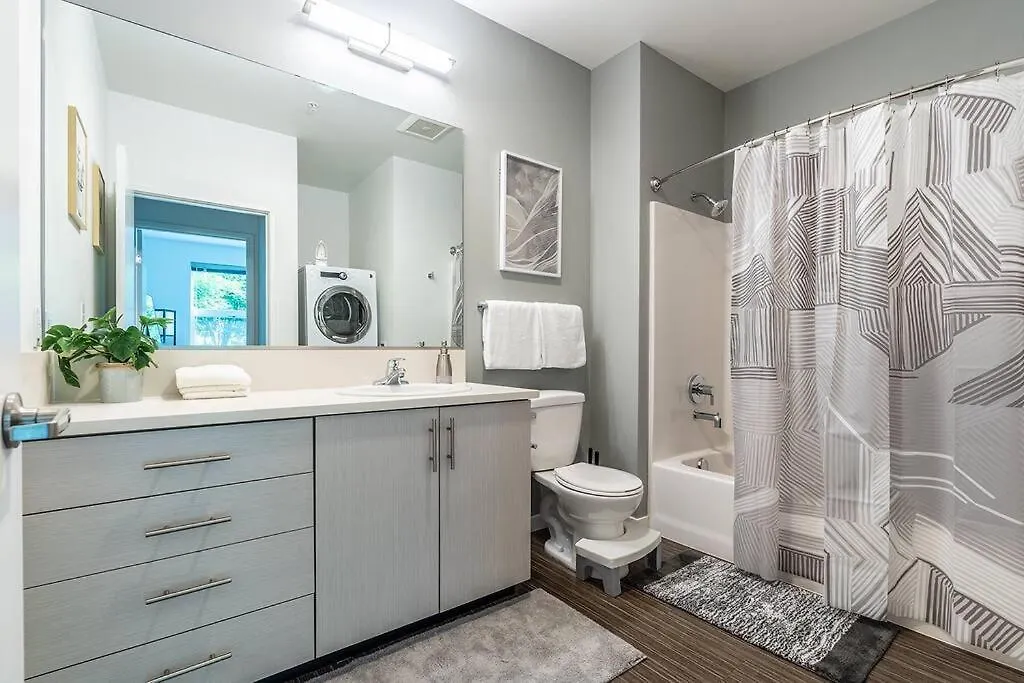 One Bedroom Luxury Apartment Seattle