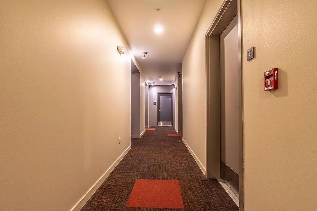 One Bedroom Luxury Apartment Seattle 0*,  United States